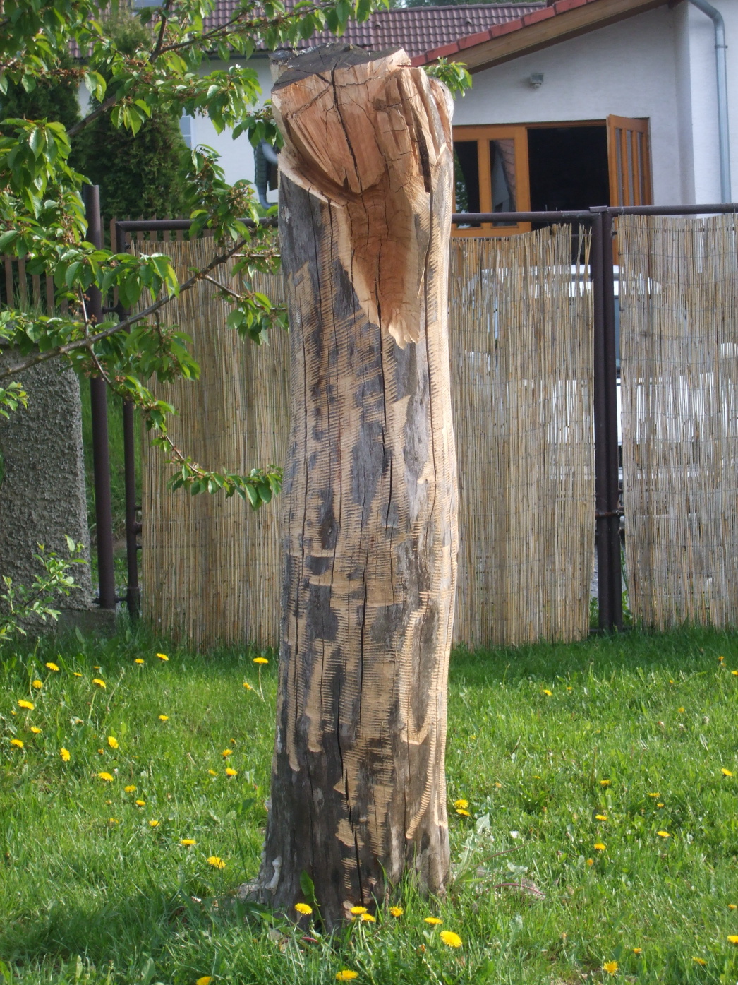 DSCF0188